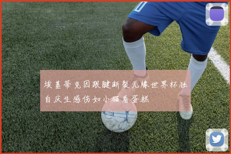 埃基蒂克因跟腱断裂无缘世界杯独自庆生感伤如小猫看蛋糕